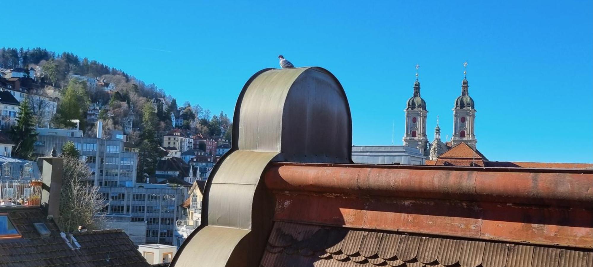 Ruhige, Neue Dachwohnung An Altstadt, Naehe Messe St. Gallen Εξωτερικό φωτογραφία